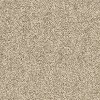 sample image of EC Carpets Birdwood